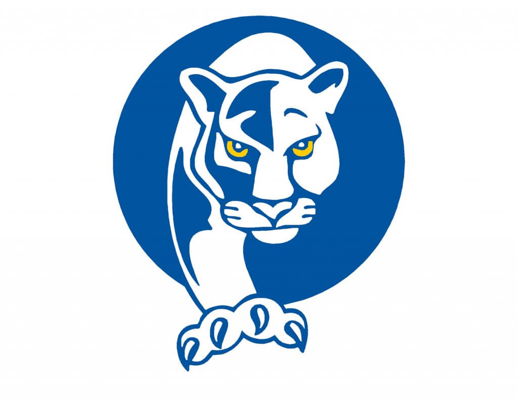 Cam Academy Panther logo